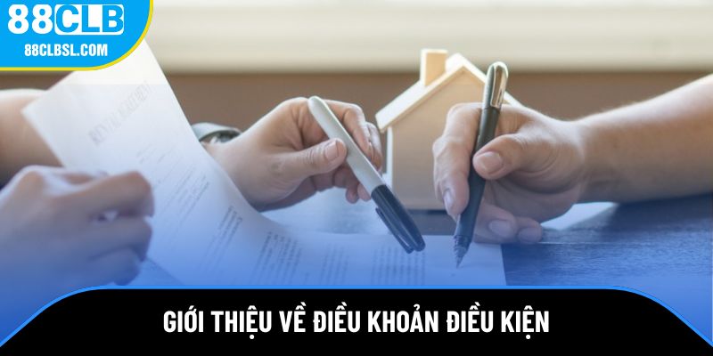 Giới thiệu về điều khoản điều kiện