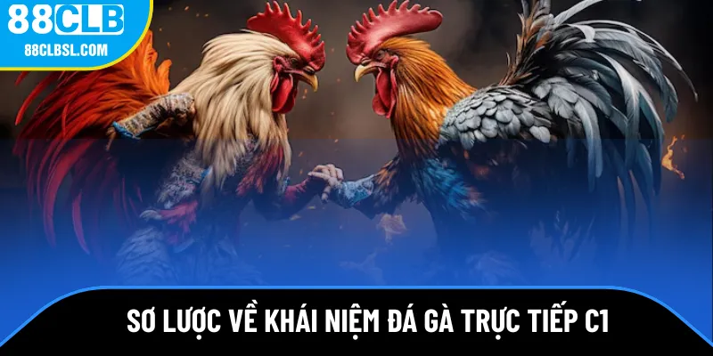 Sơ lược về khái niệm đá gà trực tiếp c1